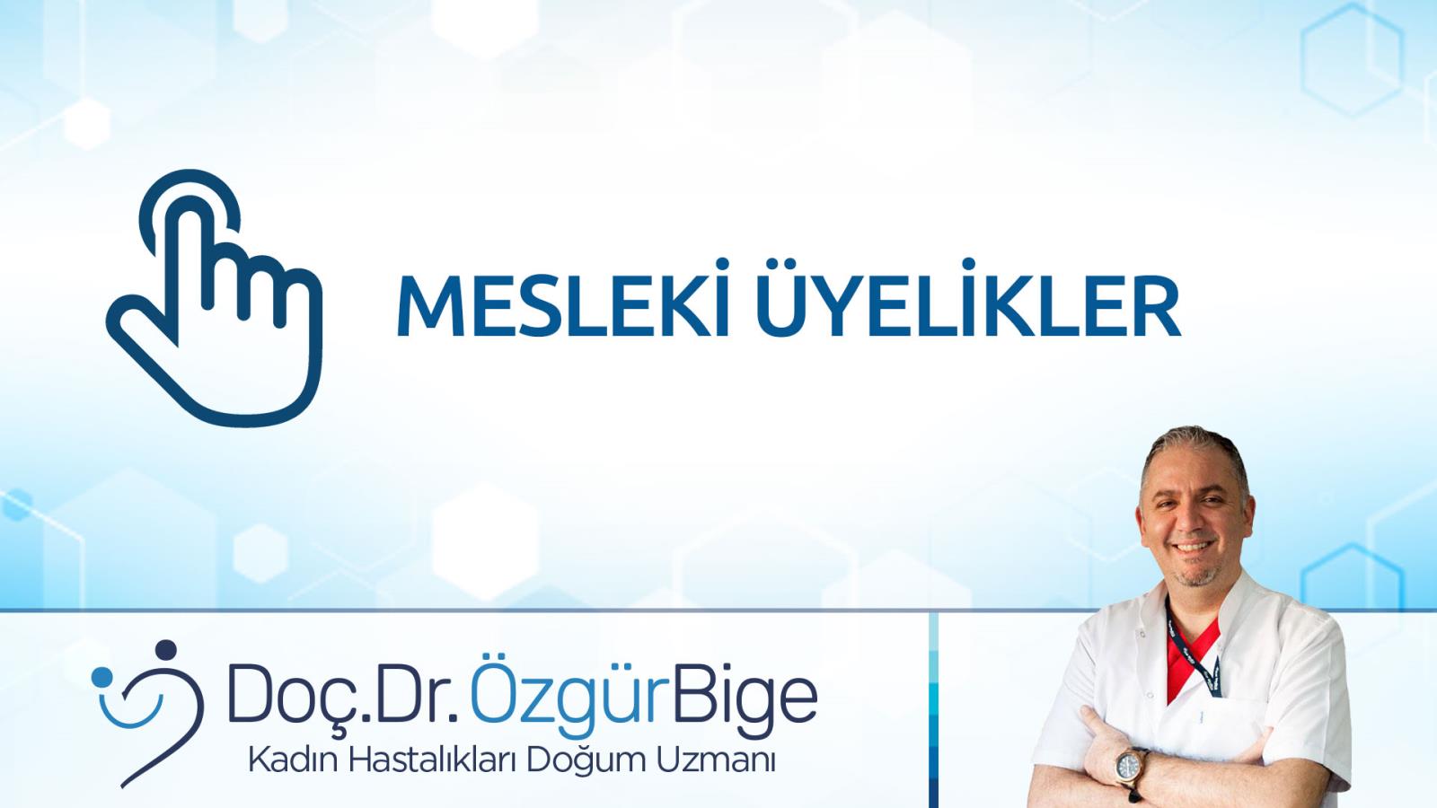 MESLEKİ ÜYELİKLER